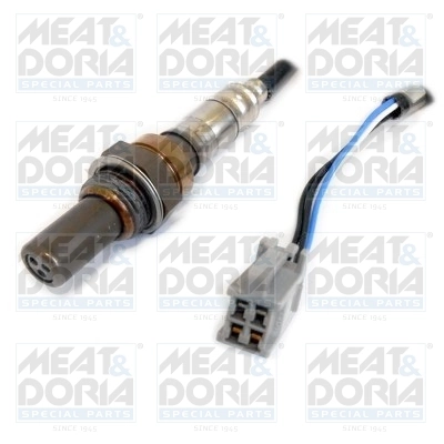 Oxygen Sensor
